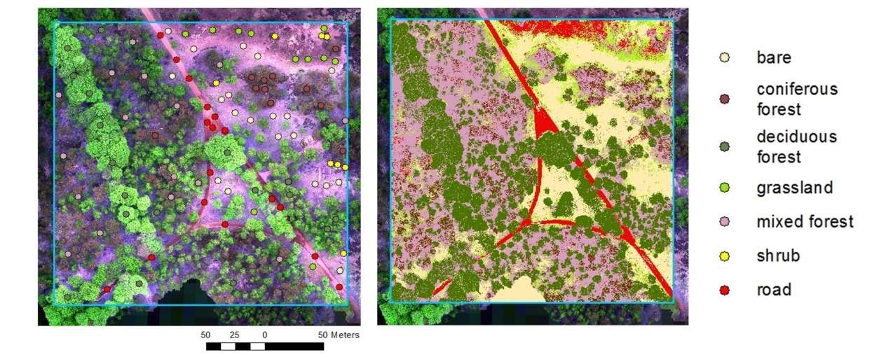 From Drone Images To Vegetation Classes